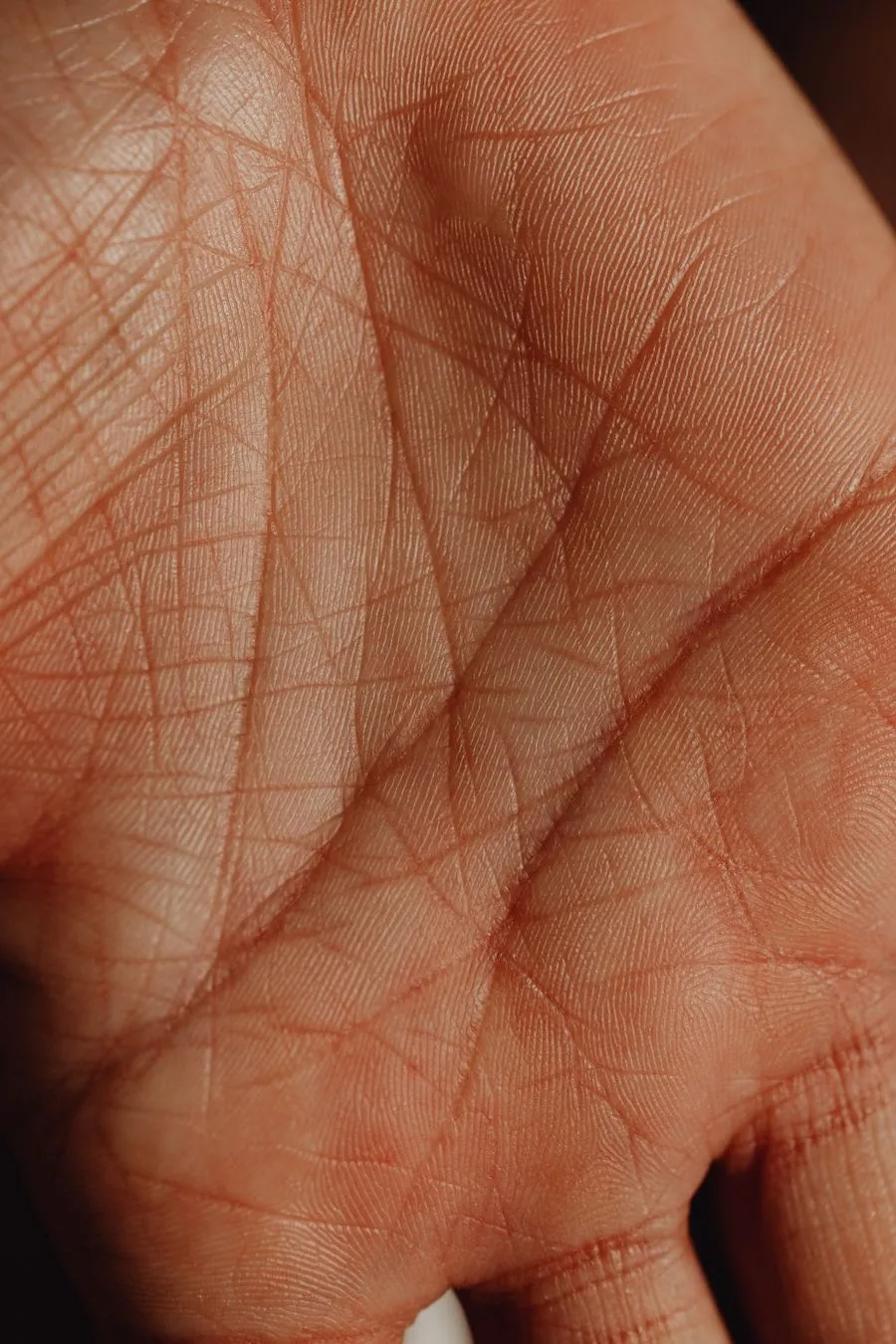 Close-up detail of lines and texture on a human palm