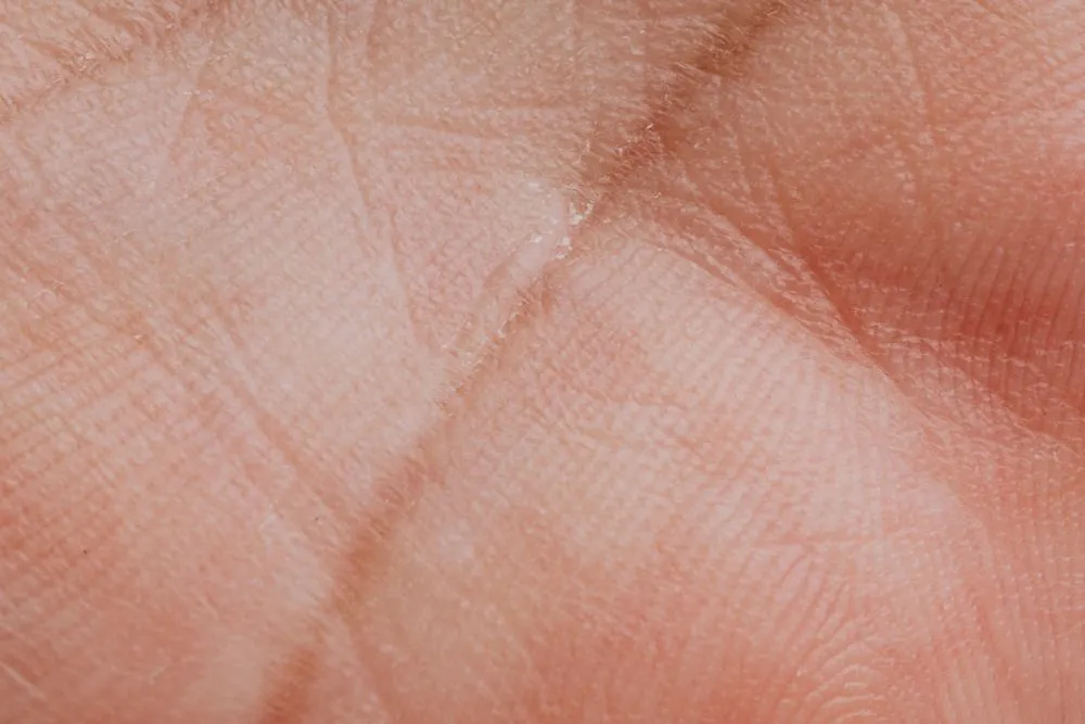 Detailed macro texture and lines of a human palm