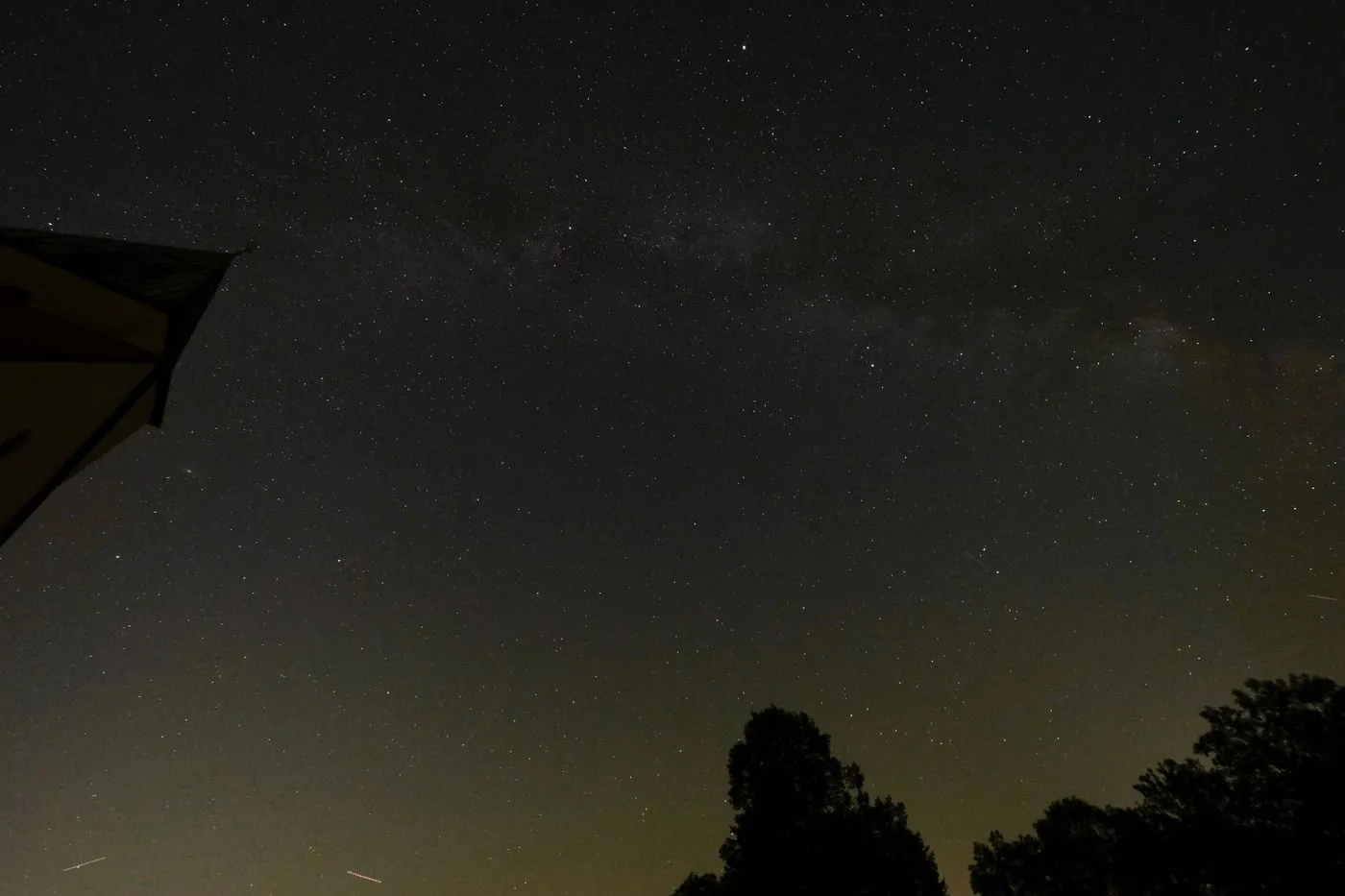Dense starfield and the Milky Way stretching over a silhouette of trees at night