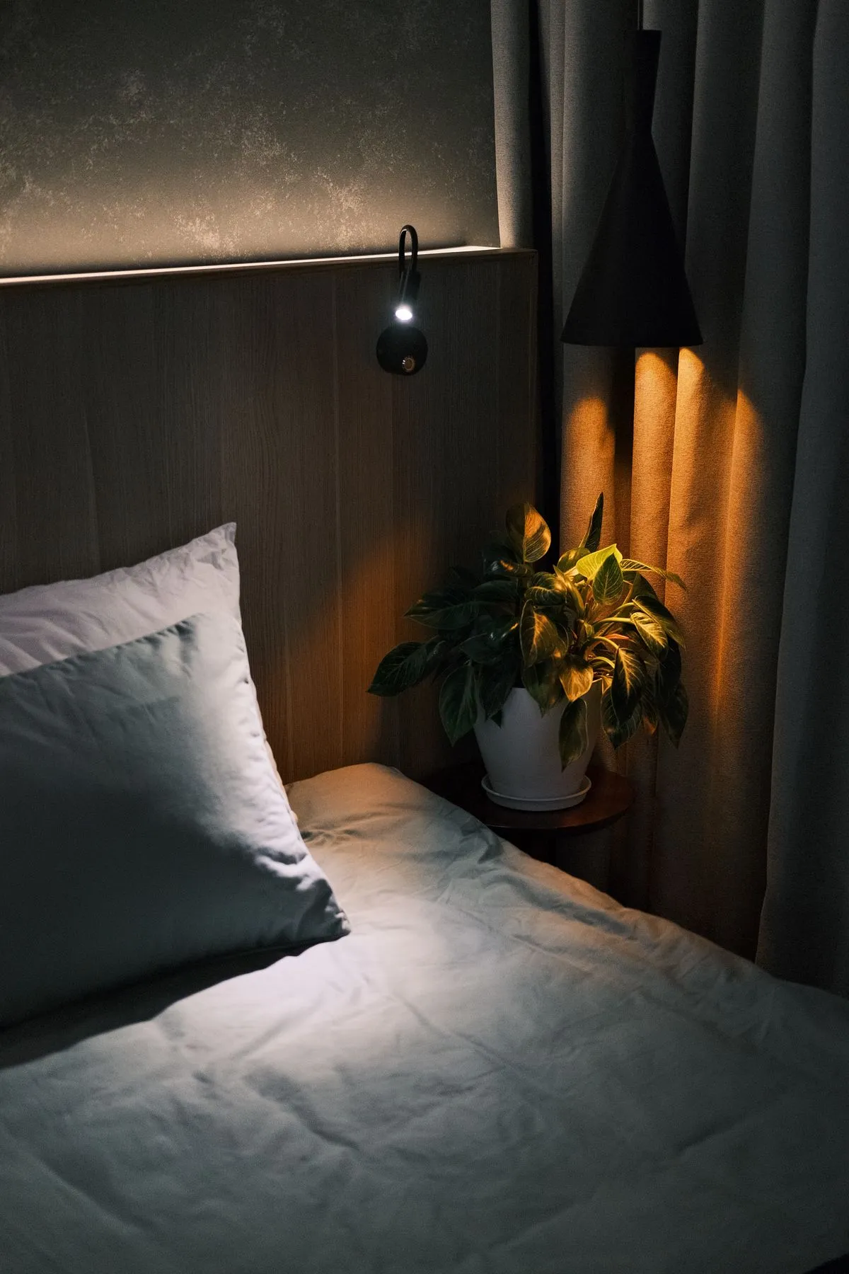 A tranquil, minimalist bedroom with soft lighting and a potted plant
